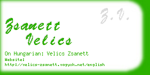 zsanett velics business card
